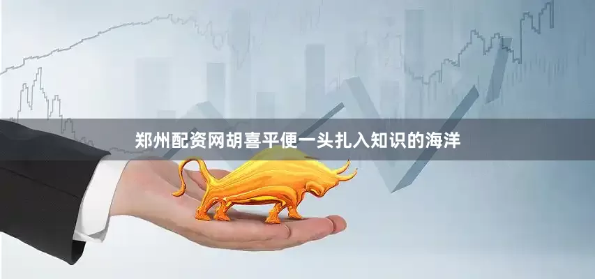 郑州配资网胡喜平便一头扎入知识的海洋