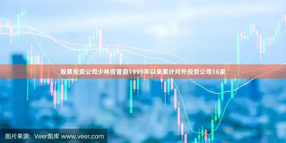股票投资公司少林资管自1999年以来累计对外投资公司16家